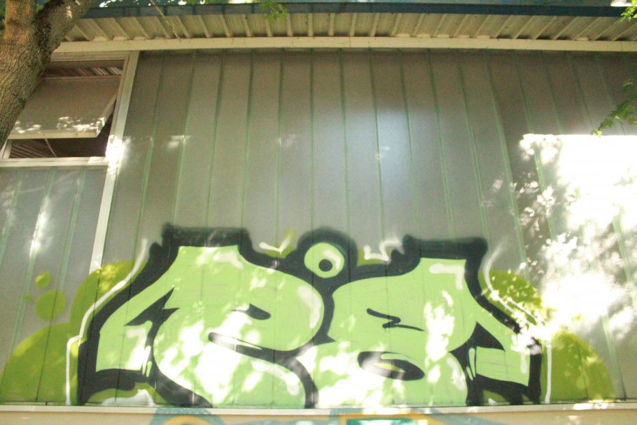 Graffiti Bombing - Photo by myGuns - (28) (2013)