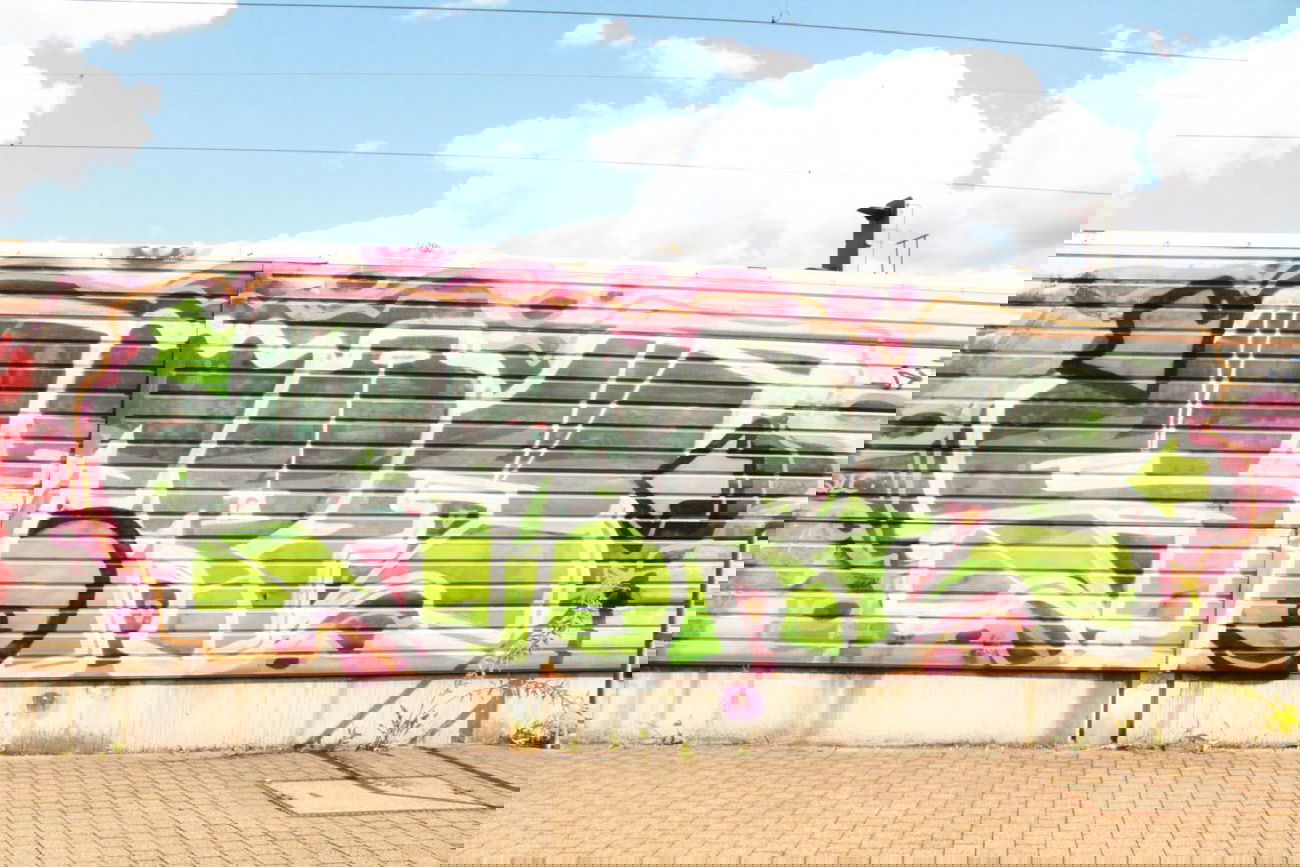 Graffiti Bombing - Photo by myGuns - Store, Qlc (2013)