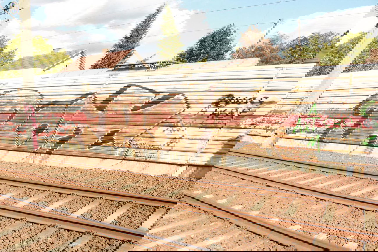 Graffiti Bombing - Photo by myGuns - rot (2013)