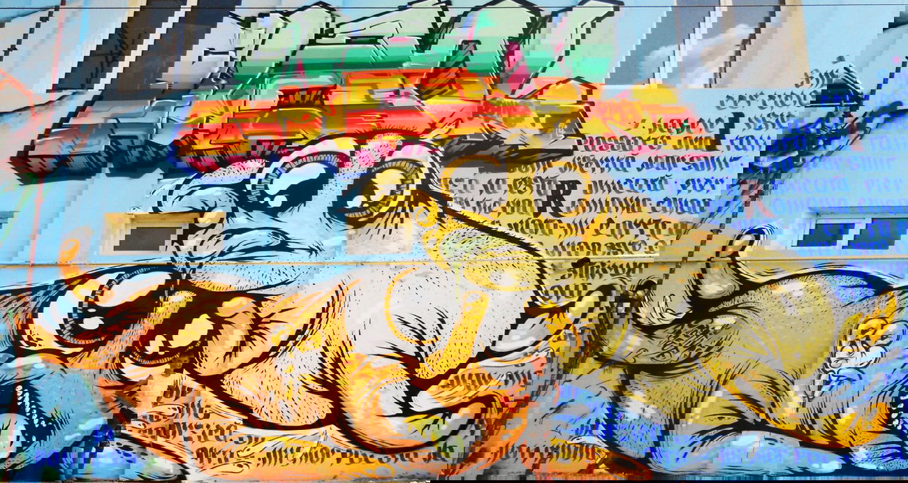 Graffiti Wall - Photo by mycutecreatures - creaturi, dragute, roman (2014)