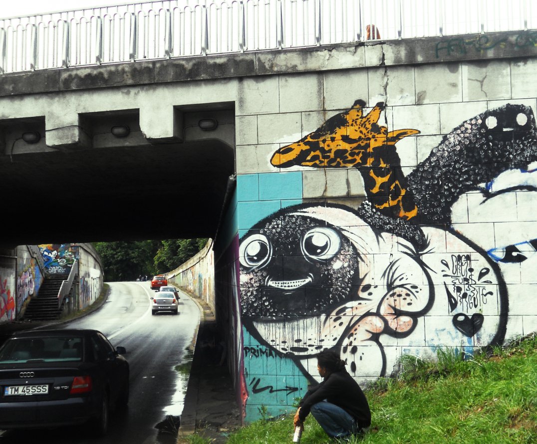 Graffiti Wall in Timi?oara - Photo by mycutecreatures - timisoara, romania, my (2014)