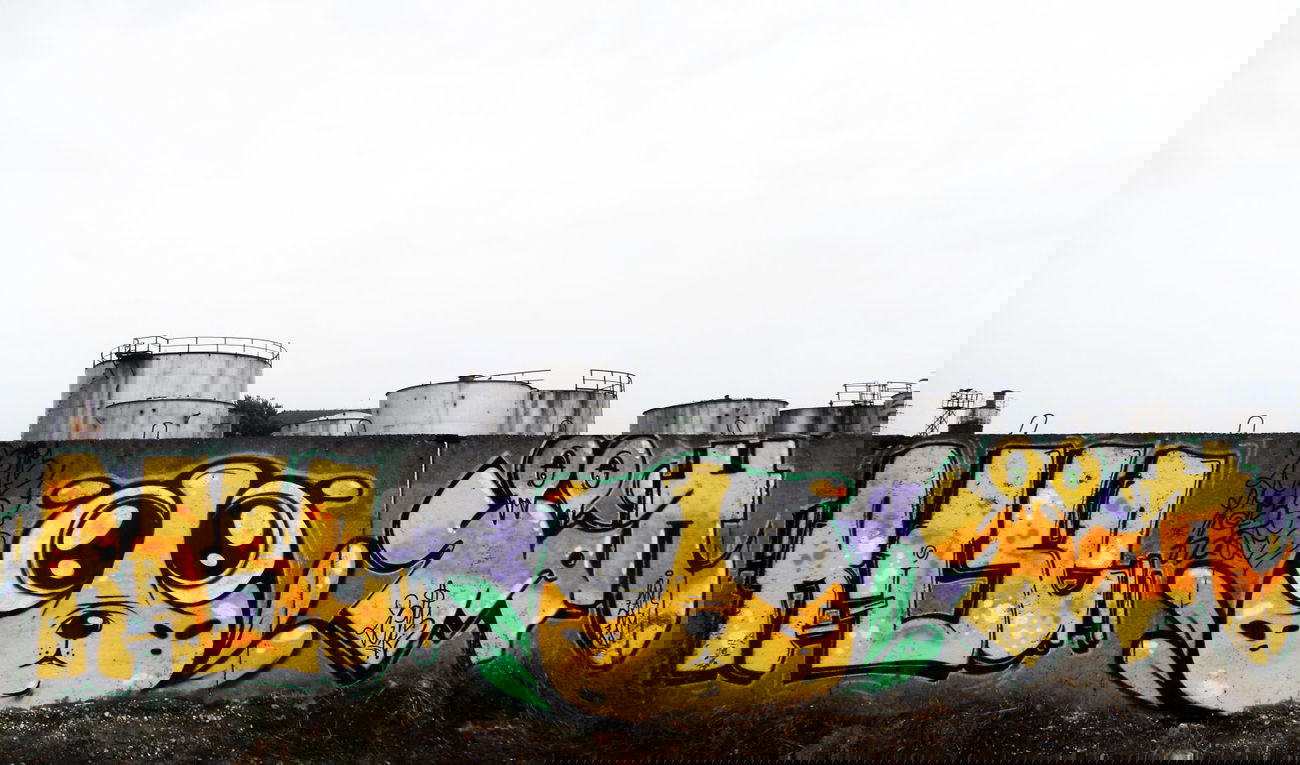 Graffiti Wall in Timi?oara - Photo by mycutecreatures - rase, creaturi, dragute (2014)