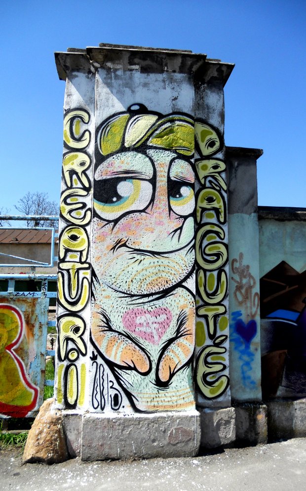 Graffiti Wall in Timi?oara - Photo by mycutecreatures - timisoara, street, festival (2013)