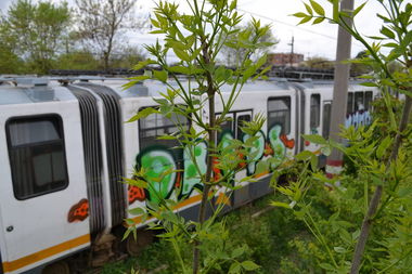 Graffiti Train - Photo by nErou - Trambucahrest