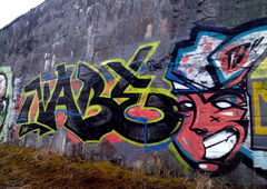 Photo #249011 by NDUCT