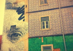 Photo #139521 by Belt