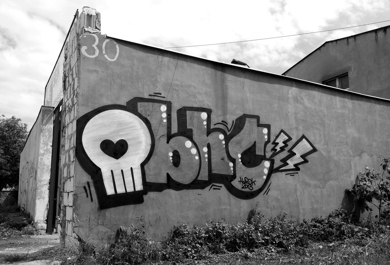 Graffiti Bombing - Photo by nastyawrok (2013)