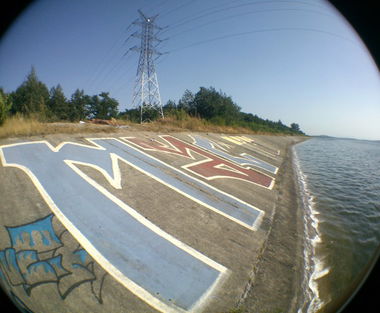 Graffiti Bombing - Photo by nastymac - mac (2013)