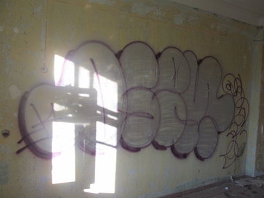 Graffiti Bombing - Photo by nearcrimekid - osem (2014)