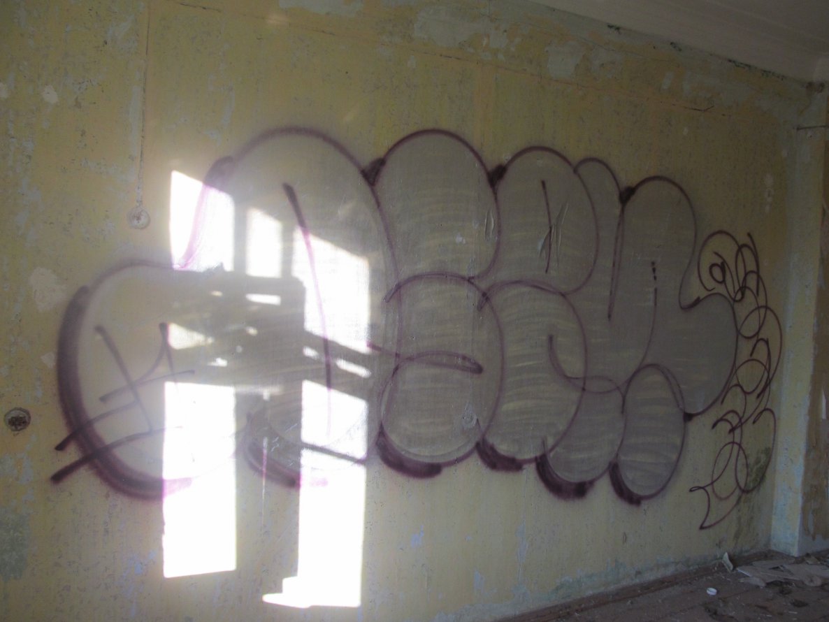 Graffiti Bombing - Photo by nearcrimekid - osem (2014)