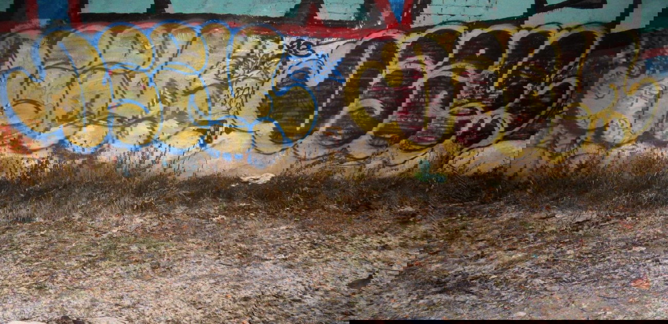 Graffiti Bombing - Photo by nearcrimekid - osem