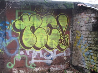 Graffiti Bombing - Photo by nearcrimekid - nc, osem (2013)