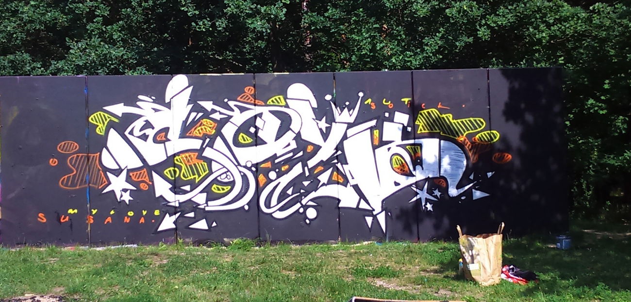 Graffiti Wall - Photo by neicky - soyk, aim (2016)