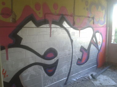 Graffiti Bombing - Photo by nekenieH - krew (2014)