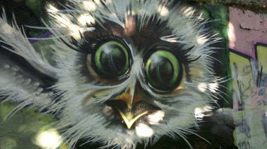 Graffiti Wall - Photo by neon - Dresden, bird, germany (2011)