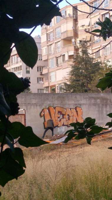Graffiti Bombing in Turkey - Photo by neonlan (2016)