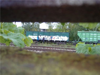 Graffiti Train in Nizhny Novgorod - Photo by newer88 - scum/new/esto (2013)