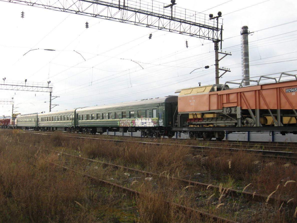 Graffiti Train - Photo by newer88 - new/scum (2012)