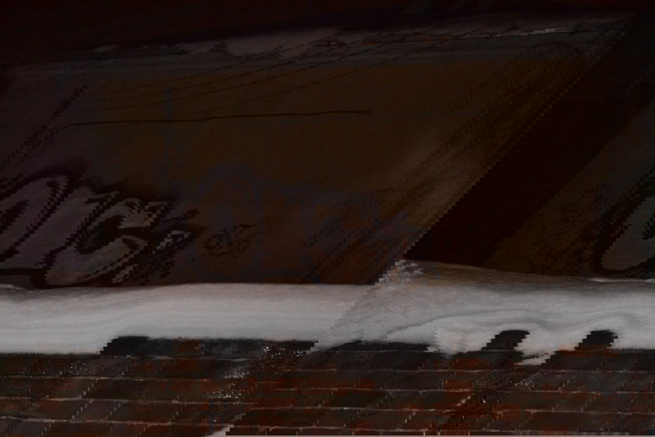 Graffiti Wall - Photo by newer88 - new/more/peko (2013)