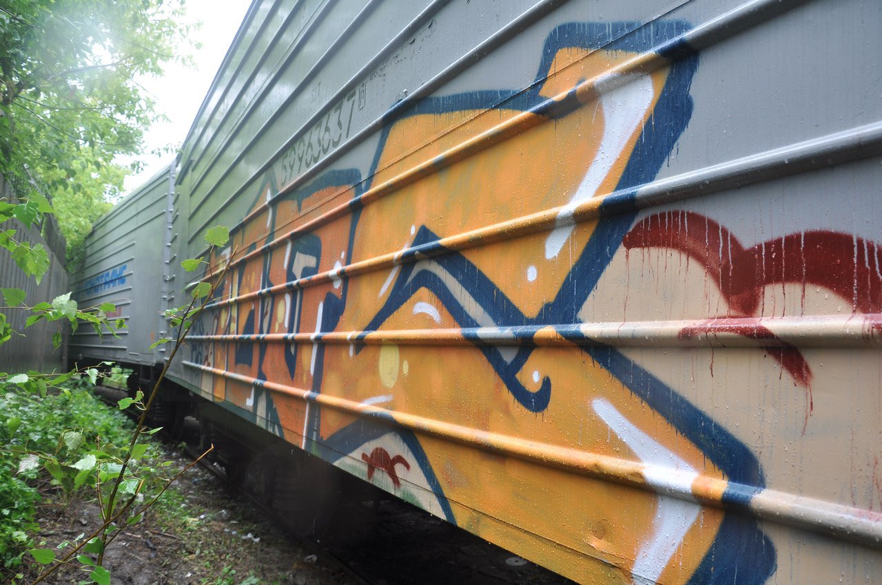 Graffiti Train - Photo by newer88