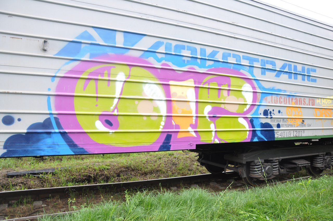Graffiti Train - Photo by newer88