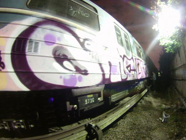 Graffiti Train - Photo by newer88
