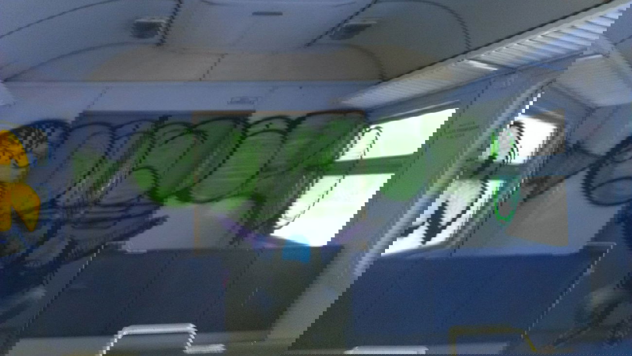 Graffiti Bombing - Photo by newer88