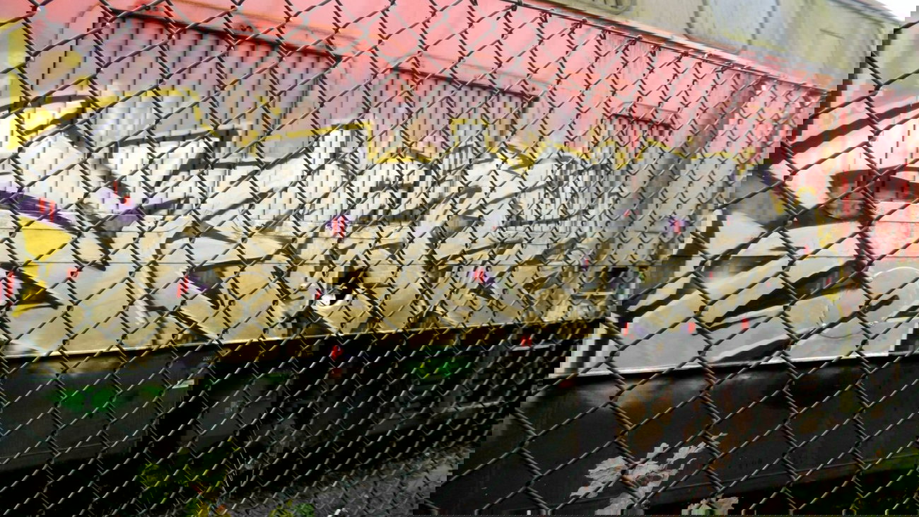 Graffiti Train - Photo by news