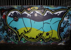 Photo #175184 by TagHagel