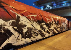 Graffiti Train in Freiburg - Photo by nice - freightgraffiti, 2025, freiburg (2025)