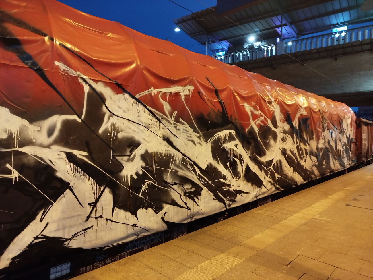 Graffiti Train in Freiburg - Photo by nice - freightgraffiti, 2025, freiburg (2025)