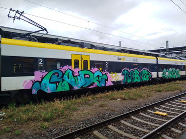 Graffiti Train - Photo by nice (2025)
