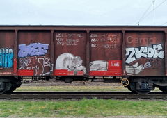 Graffiti Train - Photo by nice - trainwriting, 2025, paintedtrains (2025)