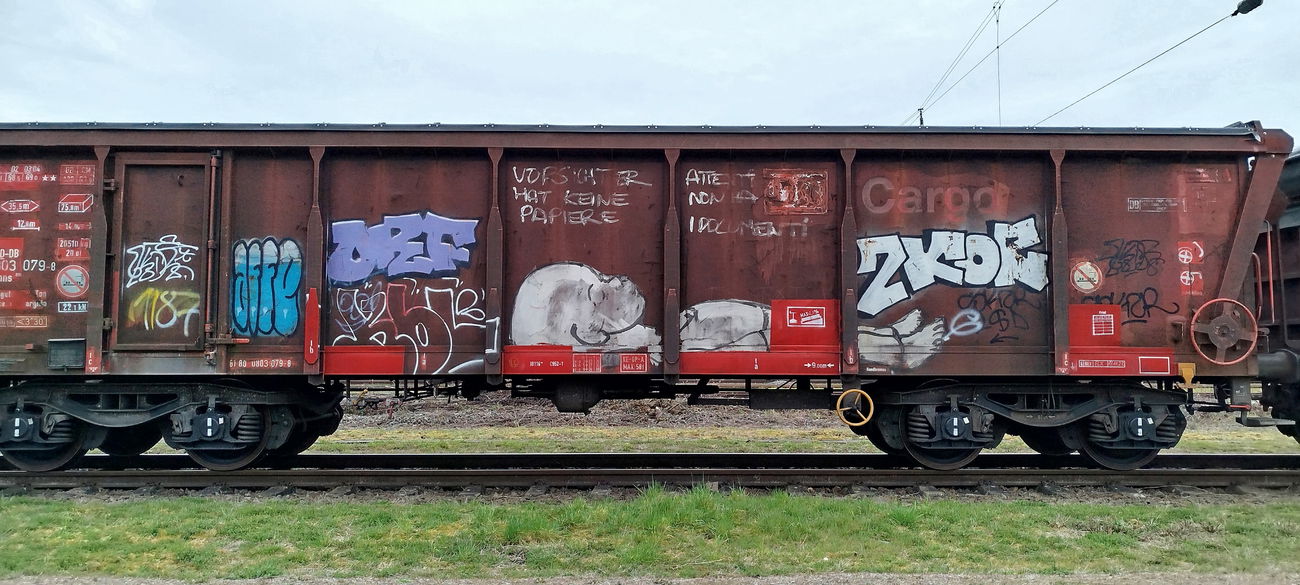 Graffiti Train - Photo by nice - trainwriting, 2025, paintedtrains (2025)