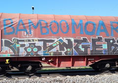 Graffiti Train - Photo by nice - southgermany, freightbombing, 2025 (2025)