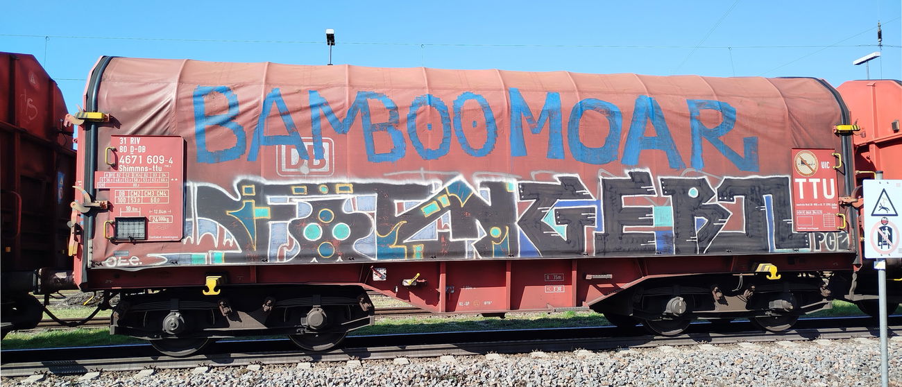 Graffiti Train - Photo by nice - southgermany, freightbombing, 2025 (2025)