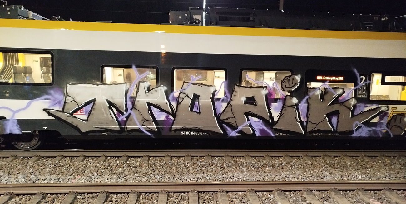 Graffiti Train - Photo by nice - trainwriting, 2025, bawü (2025)