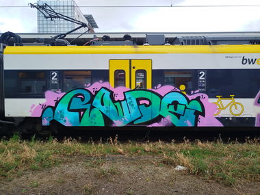 Graffiti Train - Photo by nice - trainwriting, bawü, 2025 (2025)