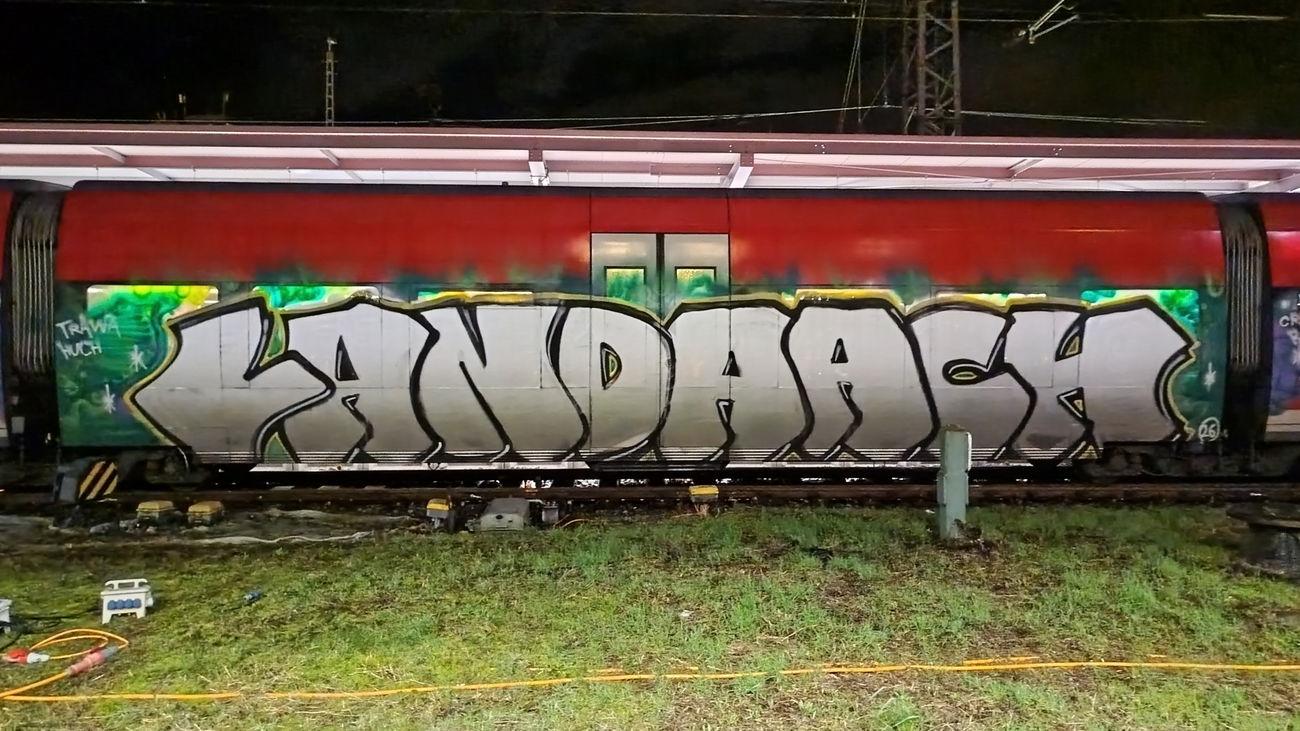 Graffiti Train in Karlsruhe hbf - Photo by nice - landaugraffiti, southspotting, regionalzug (2026)