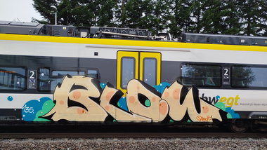 Graffiti Train - Photo by nice (2025)