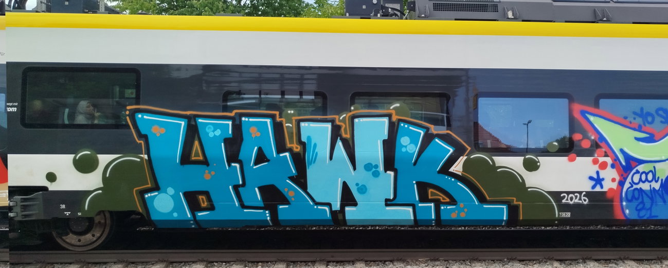 Graffiti Train in 79104 - Photo by nice (2026)
