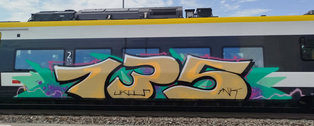 Graffiti Train - Photo by nice (2026)