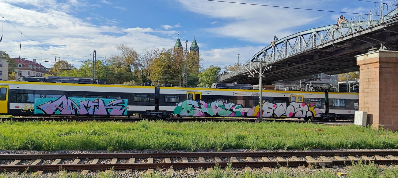 Graffiti Train - Photo by nice (2026)
