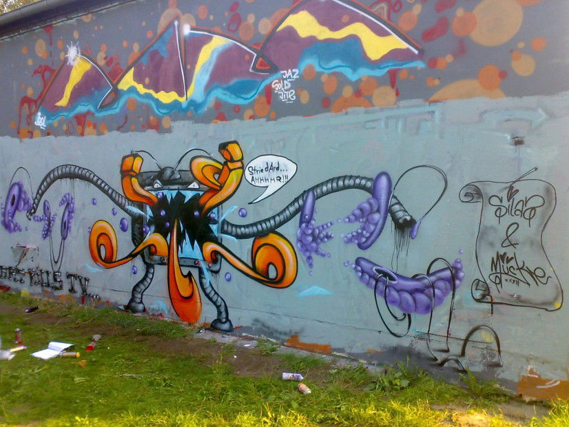 Graffiti Wall in potsdam - Photo by niemand - mücke, silas (2010)