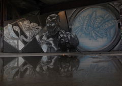 Photo #26222 by TheWallHunter