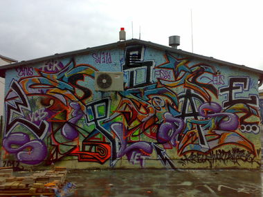 Graffiti Wall - Photo by niemand - rise, siek, pleas (2011)