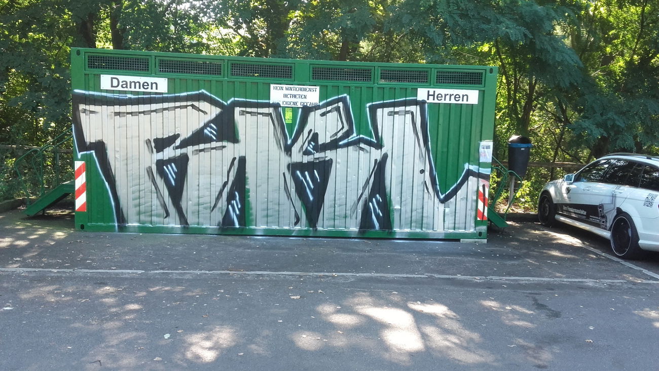 Graffiti Bombing - Photo by nik