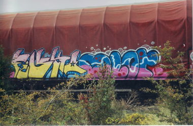 Graffiti Train in Erfurt - Photo by nik (2004)