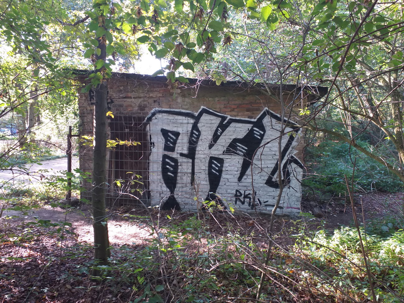 Graffiti Wall - Photo by nik - berlin (2019)