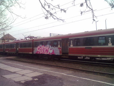Graffiti Train - Photo by nike1984 - Salto (2013)